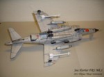 Sea Harrier Mk 1 (12).JPG

67,07 KB 
1024 x 768 
22.11.2011
